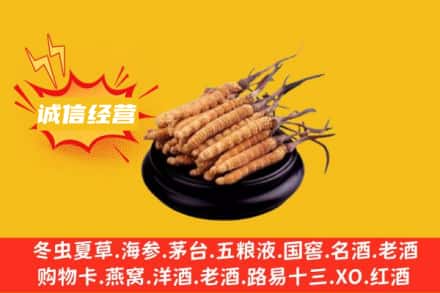 昌吉州回收冬虫夏草